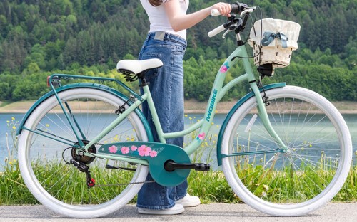 Damenfahrrad zoll citybike - 28,