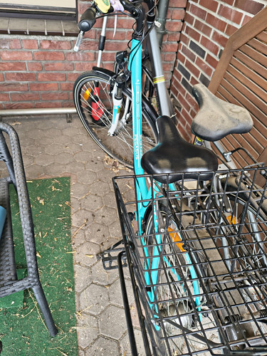 Pegasus avanti damenfahrrad - pegasus,